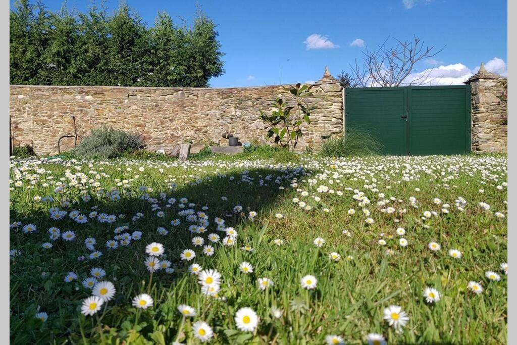 Estudio Pajar Rural Con Bonito Jardin - Los Gayoles Rural Castropol Luaran gambar